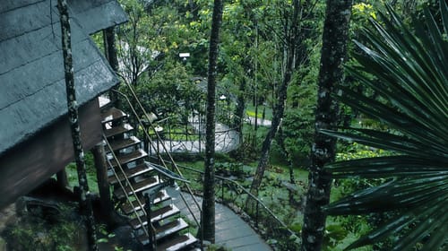 Panchavadi | 10-acre Land With 6 Forest-Facing Rooms, Natural Mountain Pool, Garden & Restro