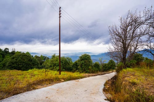 Morning Bliss - Ranikhet