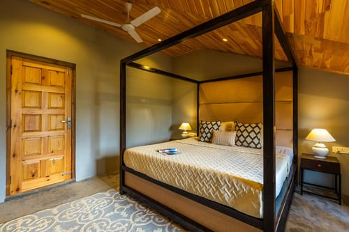 Alpha and Peek A Boo