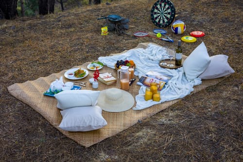 Sirmour Baag Cherry | A Pet-Friendly Cottage With Balcony, Common Garden & Restaurant