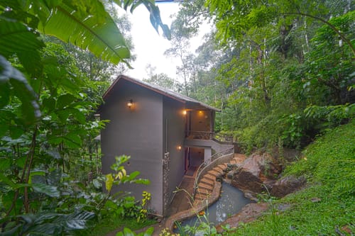 Panchavadi | Forest-Facing Room on 10-acre Land, Shared Natural Pool, Garden & Restro