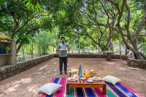 Apple @ Wellnest Natural Farms