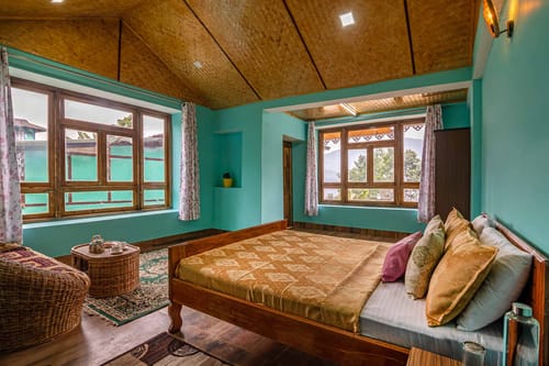 Tulip @ Nature’s Lap