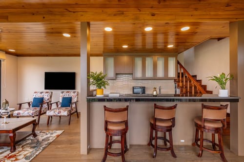 Solace @ Cujo’s Haus