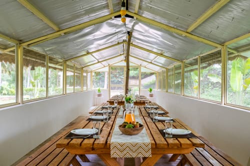 Apple @ Wellnest Natural Farms