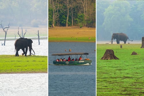 Tree House @ Exotica Kabini