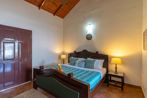 Mocha @ Misty Barn - Oodsey