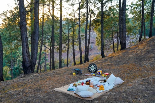 Sirmour Baag Sangria | A Pet-Friendly Peaceful Retreat With Restro & Garden