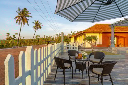 Arabica @ Misty Barn - Oodsey