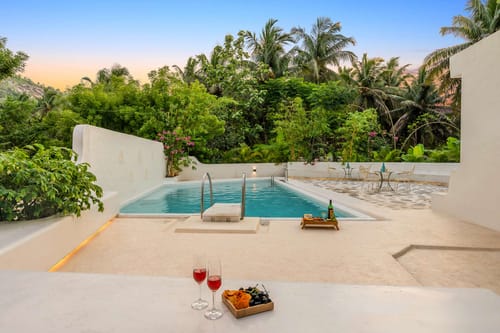 Lily @ Wellnest Natural Farms