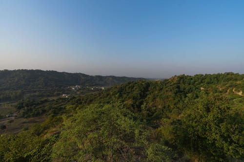 Brickwood Hill W/ Outdoor Pool