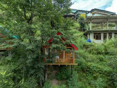 The Sinatra Skylight: Glass treehouse in the mist