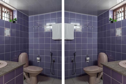 Pearl @ The Periyar Palace