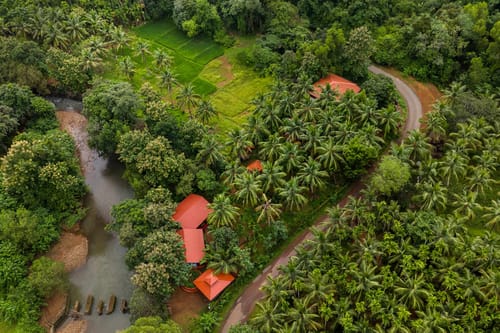 Dove @ Vatika Nature Nest - Mirjan