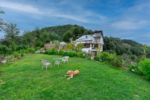 Hydrangea Hill (Garden)