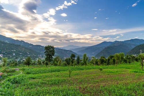 Willow @ The Oakridge W/ Jacuzzi