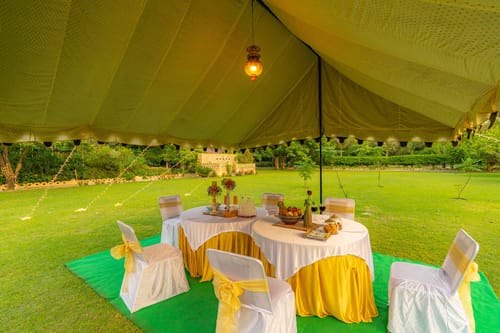 Peacocks & Partridges