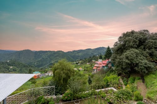 Hydrangea Hill (Garden)