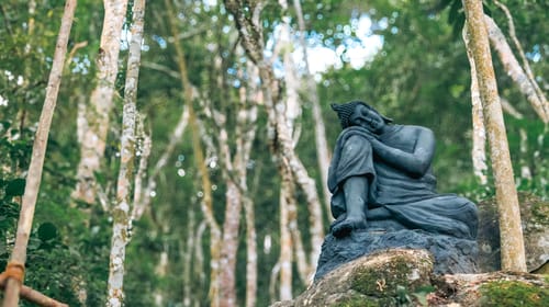 Panchavadi | 10-acre Land With 6 Forest-Facing Rooms, Natural Mountain Pool, Garden & Restro