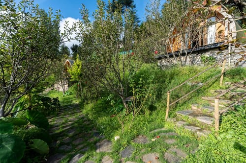 Nirvana Dhar - Book Individual Cottages