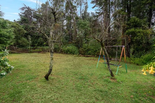 Serenity of Sunny Side