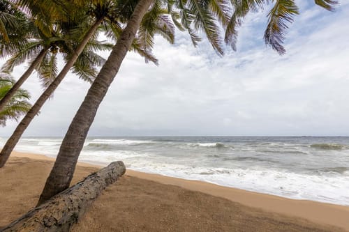 Shore @ Villa Marina - By the Sea