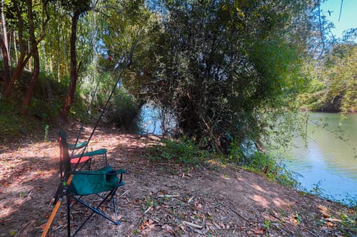 Firefly by the River