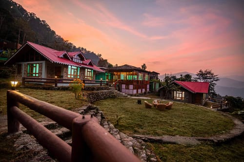 Jasmine @ Nature’s Lap