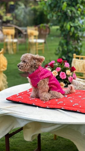 Celebrations and Offsites at Vista Villas in Delhi