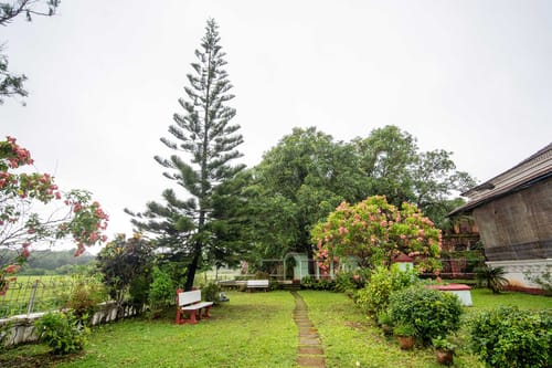 The Figueiredo House