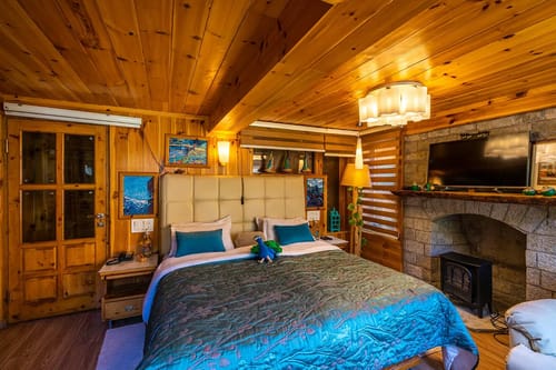 ChaletShanagManali- 4 BR Chalet