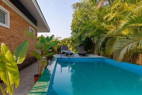 Wandering Greens - Palghar