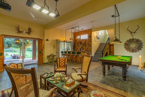 Peacocks & Partridges