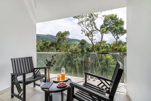 Ivory @ Cardamom Casa