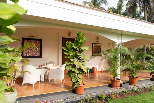 Mist @ Silver Oak Farm