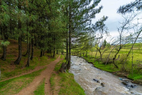 Cinnamon @ Swiss Chalet - Tangmarg - 1BR