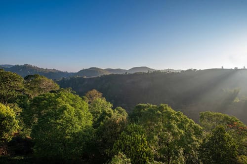 Cocoon Valley Hide Out