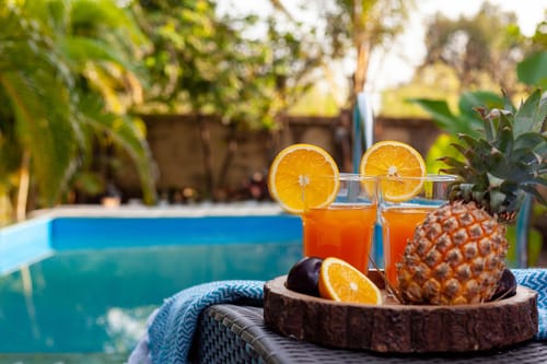 Wandering Greens - Palghar