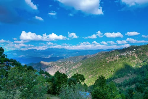 Edelweiss Entire Estate: (Bluebell House, Primrose House, Amore)