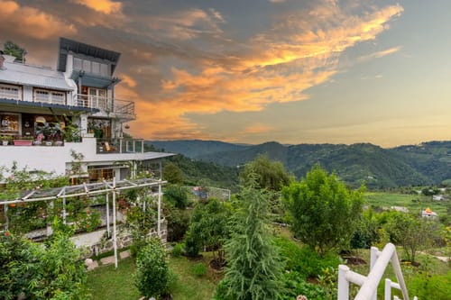 Hydrangea Hill (Garden)
