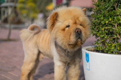 Brickwood Hill W/ Outdoor Pool