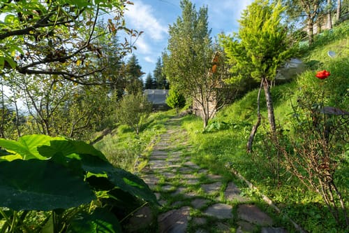 Nirvana Dhar - Book Individual Cottages