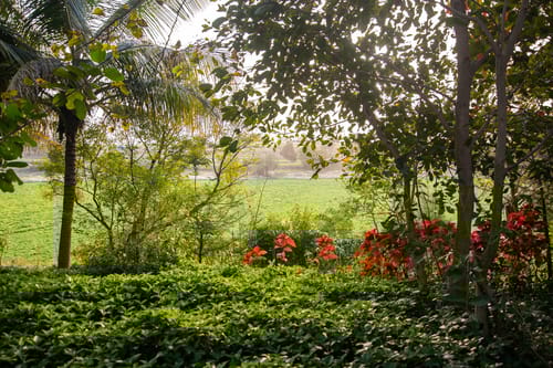 Earth Song - Tulapur