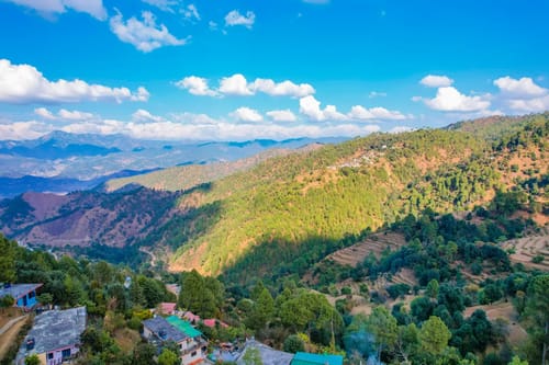 Edelweiss Entire Estate: (Bluebell House, Primrose House, Amore)