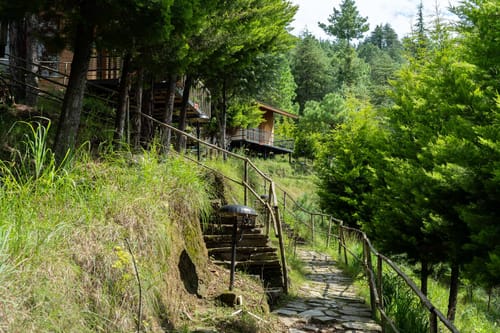 Nirvana Dhar - Book Individual Cottages