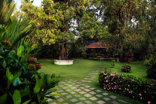 The Backwater Heritage