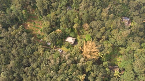 Panchavadi | Forest-Facing Room on 10-acre Land, Shared Natural Pool, Garden & Restro