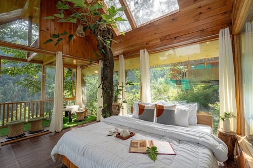 The Sinatra Skylight: Glass treehouse in the mist