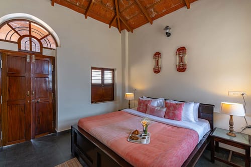 Mocha @ Misty Barn - Oodsey