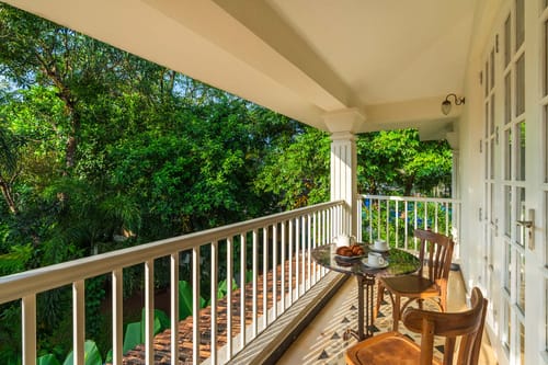 Palm @ A Portuguese Tale